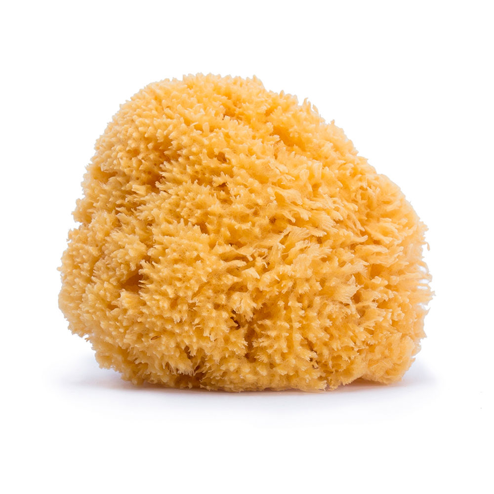 Quicky's Product Image